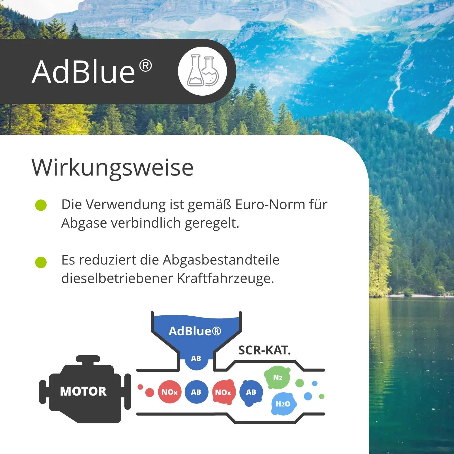 Vorschaubild 8