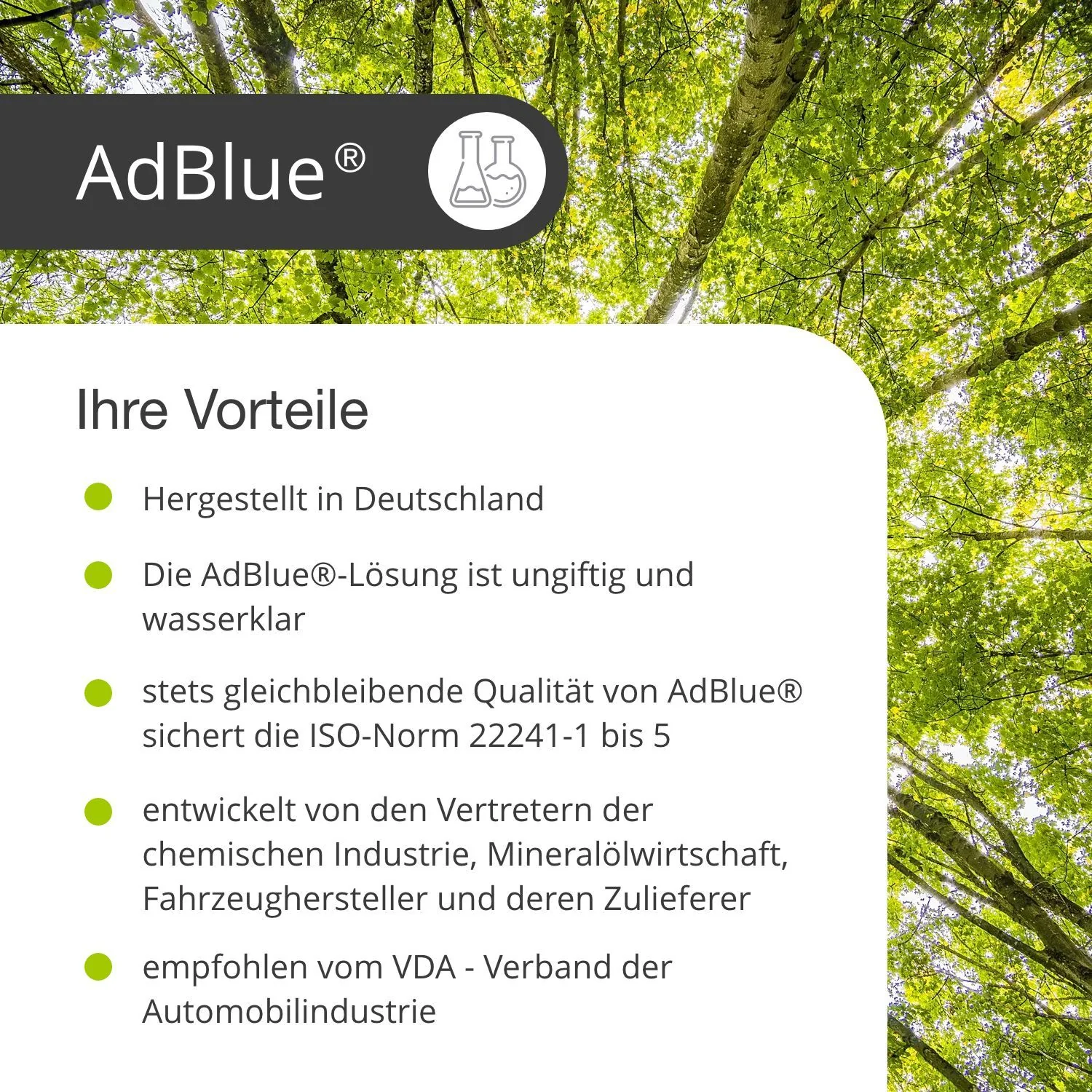 Vorschaubild 9